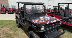 2025 Mahindra ROXOR Independence Rd