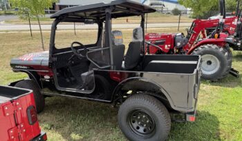2025 Mahindra ROXOR Independence Rd full