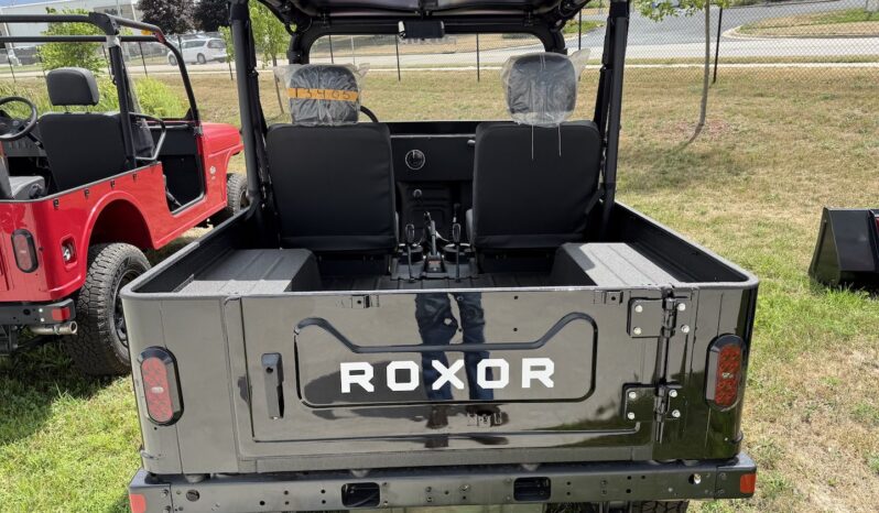 2025 Mahindra ROXOR Independence Rd full