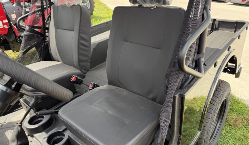 2025 Mahindra ROXOR Independence Rd full